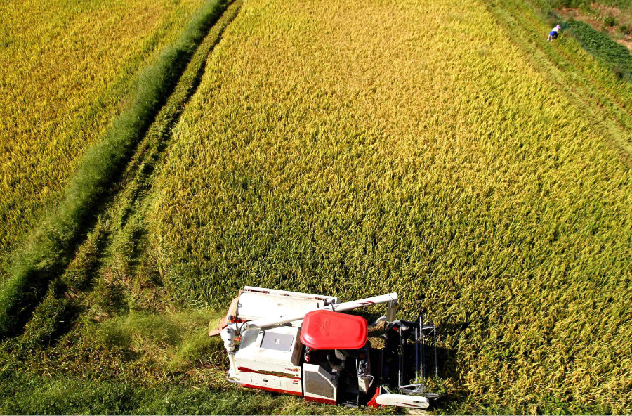 江西靖安:色彩斑斕豐收