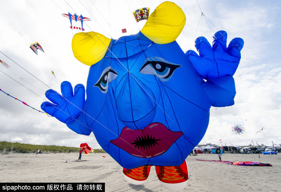 造型夸張可愛場面壯觀 美國華盛頓州國際風箏節如約而至