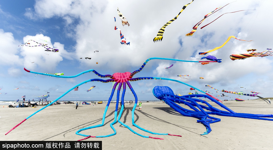造型夸張可愛場面壯觀 美國華盛頓州國際風箏節如約而至