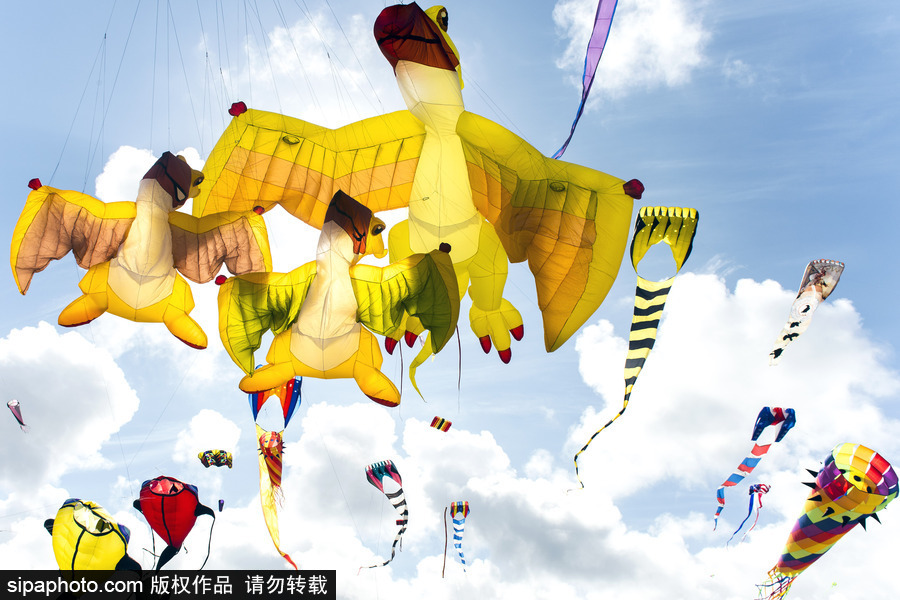 造型夸張可愛場面壯觀 美國華盛頓州國際風箏節如約而至