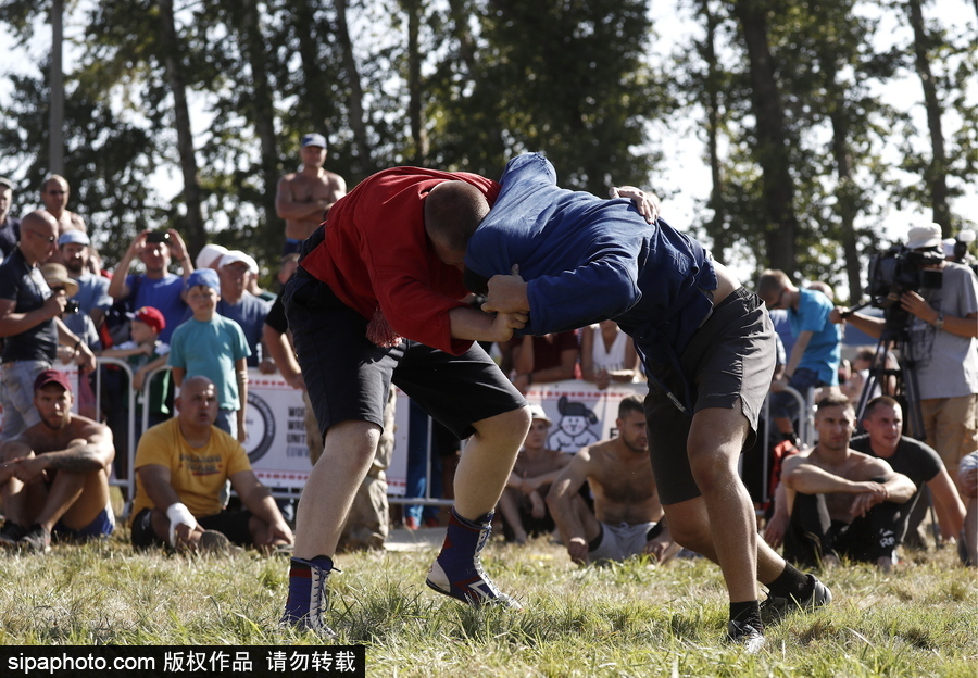來自“戰斗民族”的力量比拼！俄羅斯坦波夫地區傳統體育比賽現場十分火熱