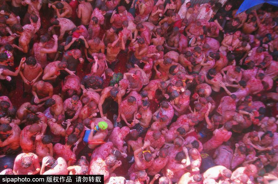 “血色”浪漫！直擊西班牙番茄節(jié)現(xiàn)場 互擲番茄毫不手軟
