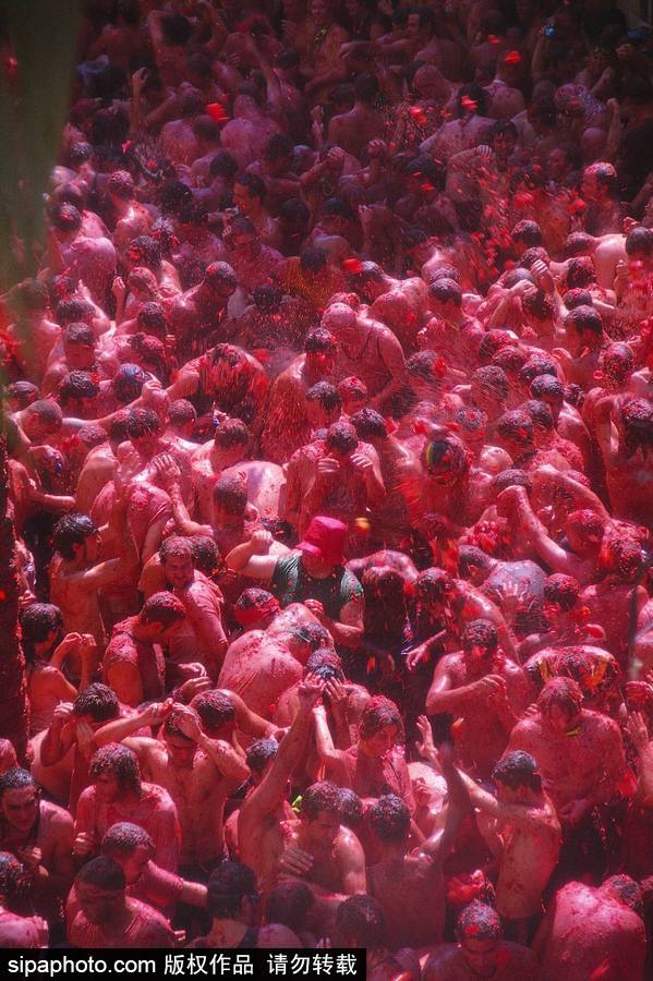 “血色”浪漫！直擊西班牙番茄節(jié)現(xiàn)場 互擲番茄毫不手軟