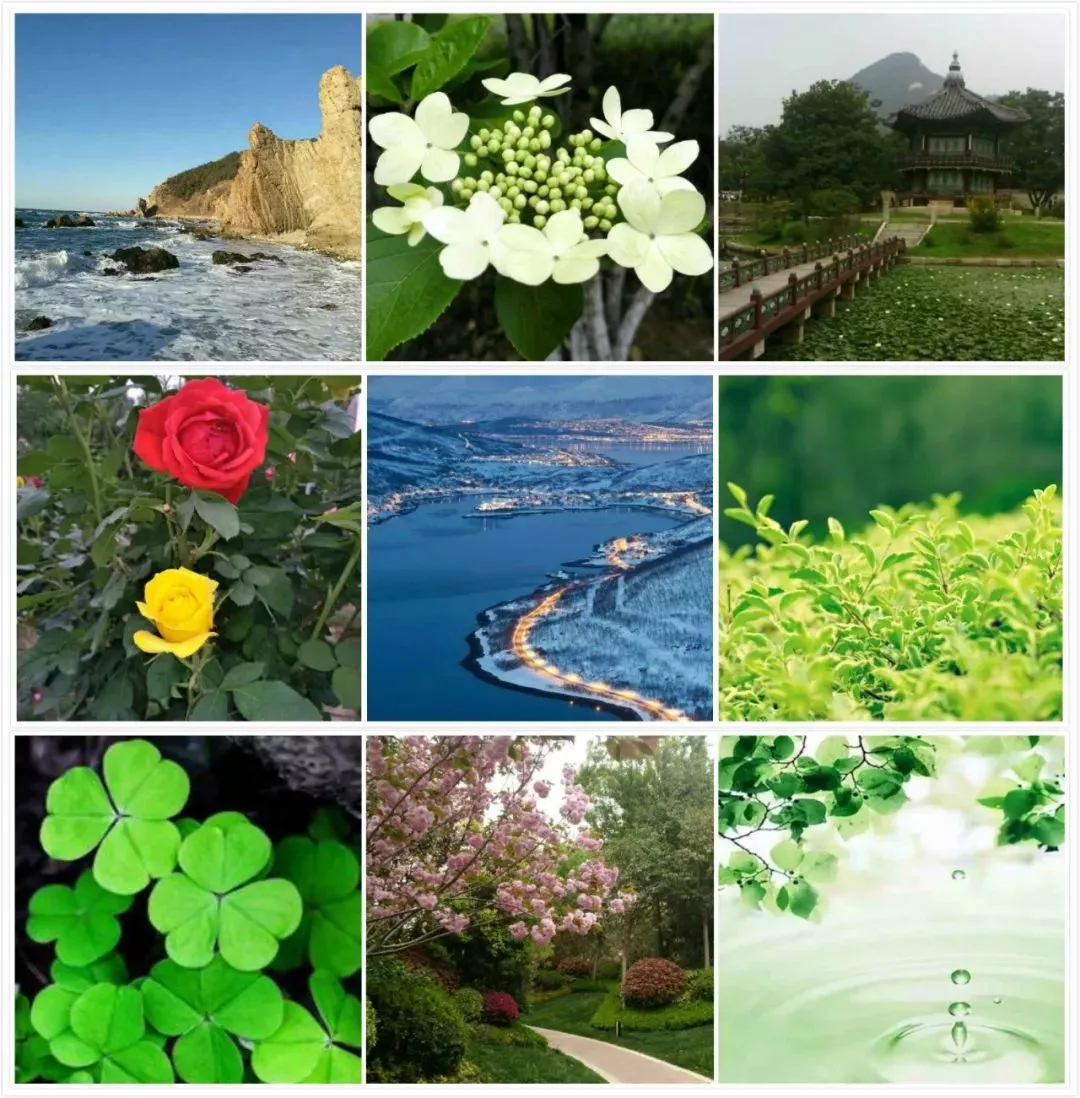 如果當初換個頭像,我可能早脫單了!據說用小動物做頭像的,缺乏安全感