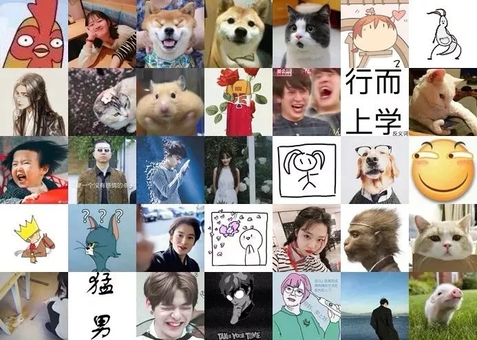 如果當初換個頭像,我可能早脫單了!據說用小動物做頭像的,缺乏安全感