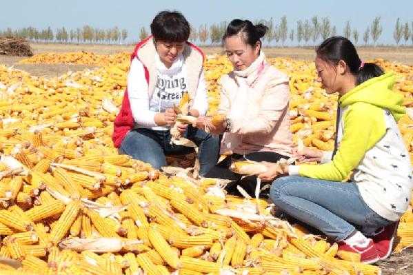 阿榮旗糧產(chǎn)創(chuàng)紀(jì)錄,13億人每人又多三斤糧