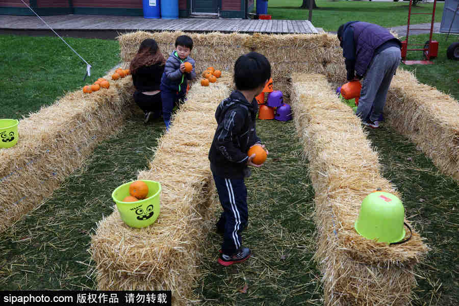 加拿大安大略省：男女老少齊出動！數(shù)百人參加南瓜節(jié)慶?；顒?/></p>

<p>當?shù)貢r間2018年10月7日，加拿大安大略省，安大略省列治文山南瓜節(jié)。南瓜節(jié)在感恩節(jié)周末舉行，數(shù)百人參加了此次慶?；顒?。</p>
</div>

<div width=