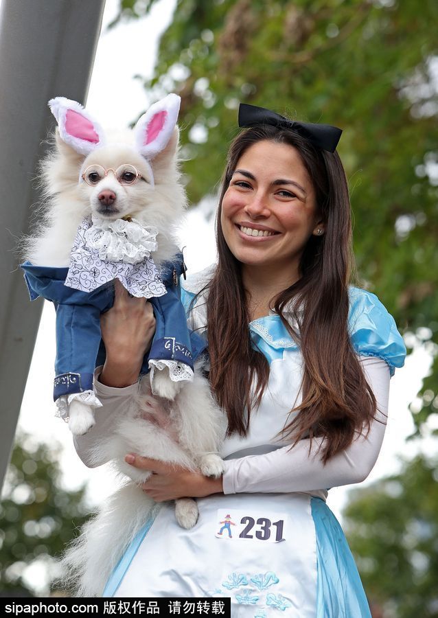 美國紐約：狗狗變身coser！第28屆湯普金斯廣場萬圣節狗狗游行萌翻全場