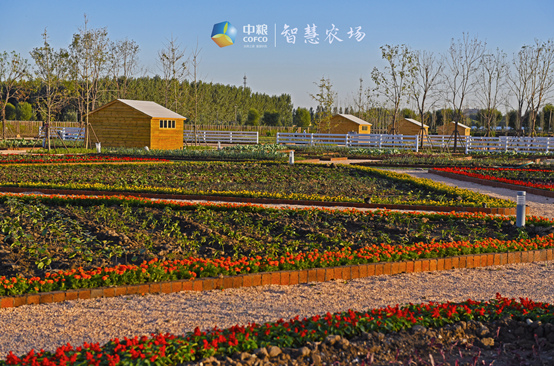 “2015亞洲都市景觀獎(jiǎng)”頒獎(jiǎng)典禮在日本福岡召開