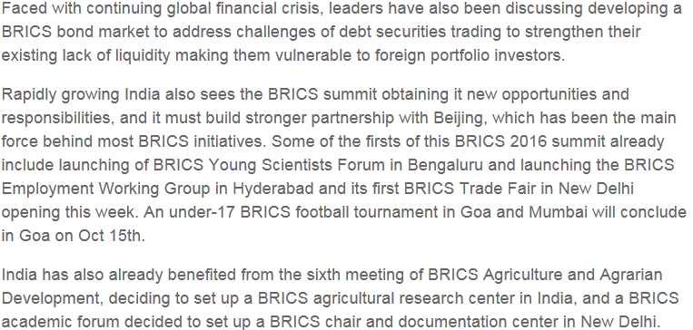 【老外談】印度學者:金磚國家經濟改善,信心滿滿迎接果阿會晤