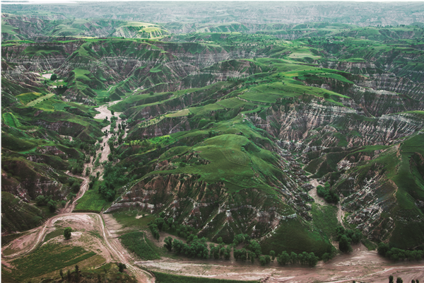 1495865398269096311.png 總體成就