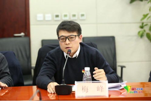 “中國綠色網絡建設與青少年健康成長”兩會代表委員座談會舉行