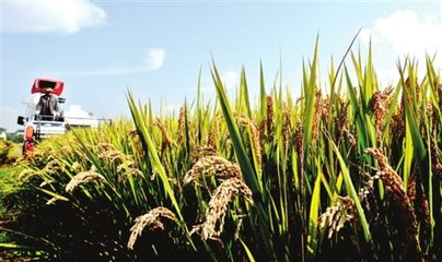 半月談非公企業黨建共建簽約儀式在京舉行