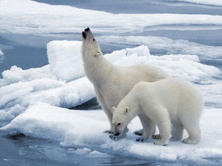懶人包:關(guān)于巴黎氣候大會,這里有你想知道的一切