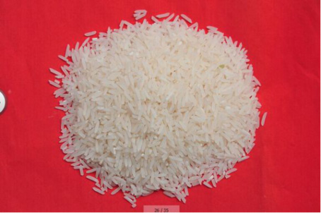 【網(wǎng)絡(luò)媒體走轉(zhuǎn)改】旅游+扶貧,新模式助力武陵源區(qū)脫貧摘帽