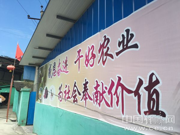 【網(wǎng)絡(luò)媒體“走轉(zhuǎn)改”】蘆山紅星村:精準(zhǔn)扶貧“不破樓蘭終不還”