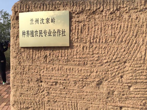 【網絡媒體走轉改】精準扶貧新政策 摘掉貧困“舊帽子”