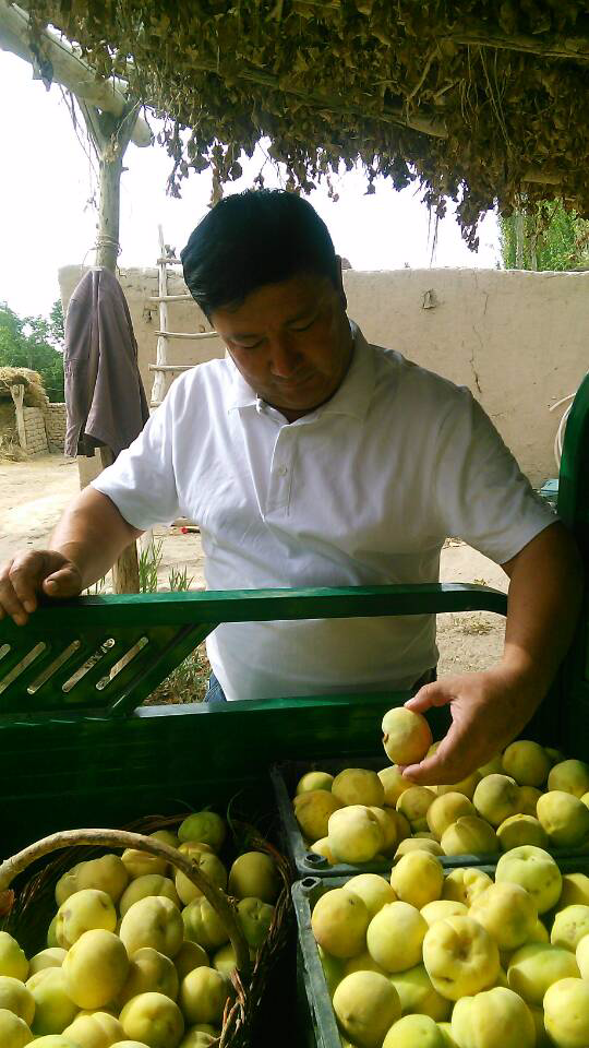 巴州政協(xié)工作組精準扶貧讓昔日鹽堿灘蝶變“杏花村”