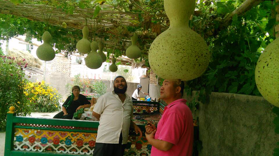 巴州政協(xié)工作組精準扶貧讓昔日鹽堿灘蝶變“杏花村”