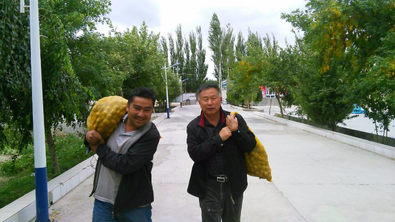 巴州政協(xié)工作組精準扶貧讓昔日鹽堿灘蝶變“杏花村”