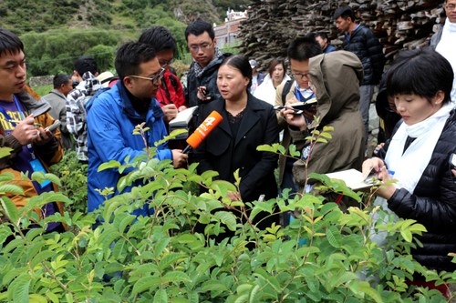 【網絡媒體“走轉改”】四川小金縣:風雨彩虹長征路 鏗鏘玫瑰助扶貧