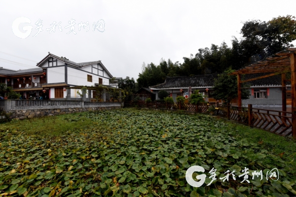 【領航新征程】花繁葉茂說“豐年” 中外青年學者點贊精準脫貧“中國方案”