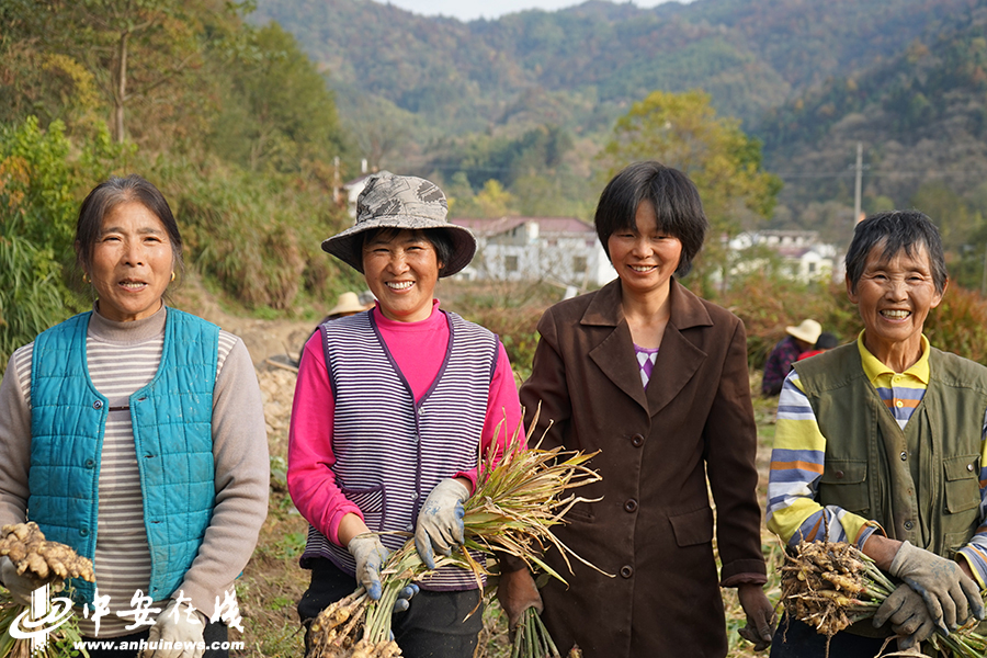 笑一笑 拍個照 俺們不再是貧困戶！——金寨縣迎河村的22張燦爛笑臉