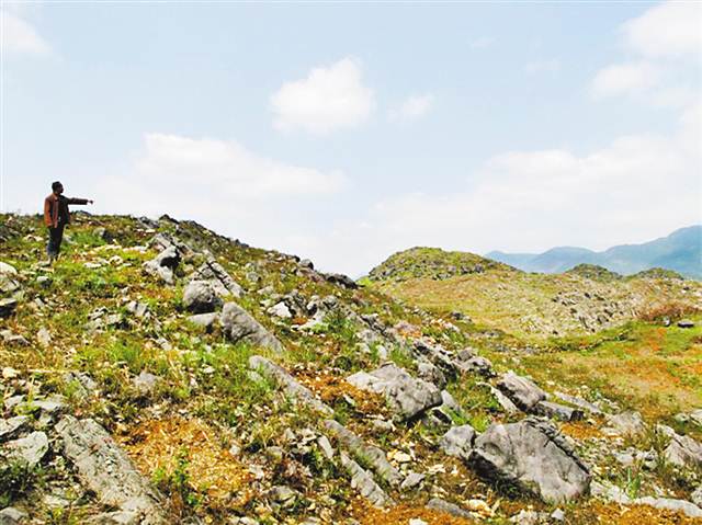 【領(lǐng)航新征程】重慶市南川石漠化治理 向“土地癌癥”說不