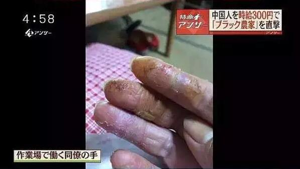 3000多名中國實(shí)習(xí)生在日本詭異