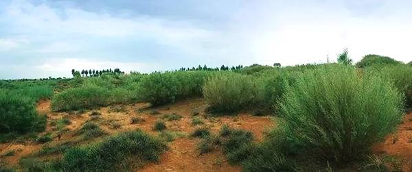 聚焦｜大漠變綠洲，庫布其走出一條綠色的旅游產(chǎn)業(yè)鏈