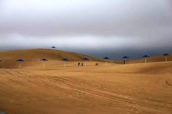 聚焦｜大漠變綠洲，庫布其走出一條綠色的旅游產(chǎn)業(yè)鏈