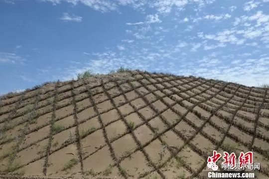 【聚焦】中國第七大沙漠“沙進人退”到“綠進沙退”的轉變