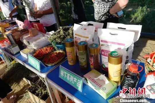 【聚焦】中國第七大沙漠“沙進人退”到“綠進沙退”的轉變